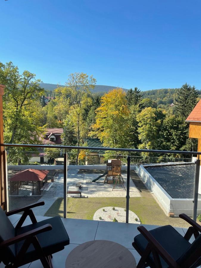 Apartament Delux 2 *