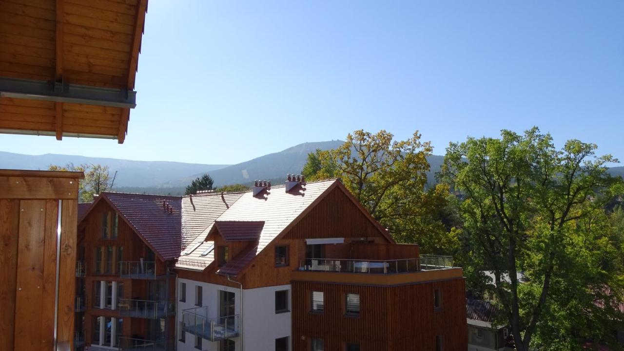 Delux 2 Apartment